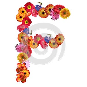 Abstract orange, yellow, pink, rose, daisy fonts with flower