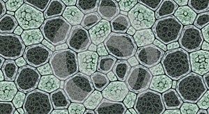 Abstract Organic Cell Structure Pattern Background