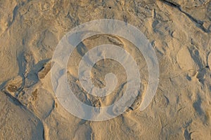 Abstract ornament on limestone surface