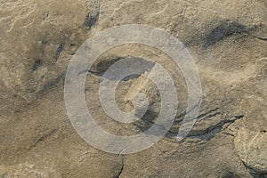 Abstract ornament on limestone surface