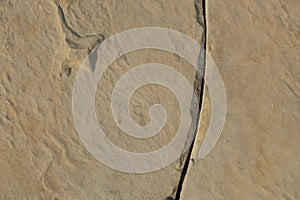 Abstract ornament on limestone surface
