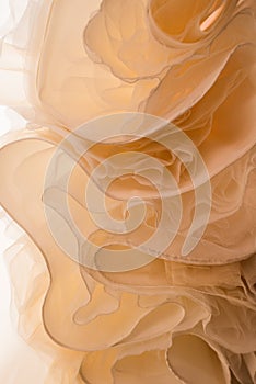 Abstract overhang wedding dress. unusual upward angle view