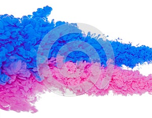 Abstract paint background color of blue and pink ink splash in the water isolated on white background