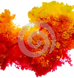 Abstract paint background multi color ink splash in the water isolated on white background