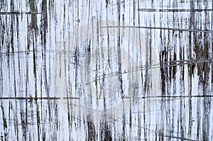 Abstract paint black and white scribble on wall photo