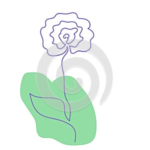 Abstract painting peony flower isolated on white background. Simply hand drawn black wildflower with green leaf