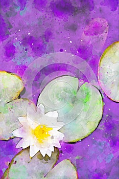 Abstract painting of waterlily, natural flower image, digital watercolor illustration, art for background