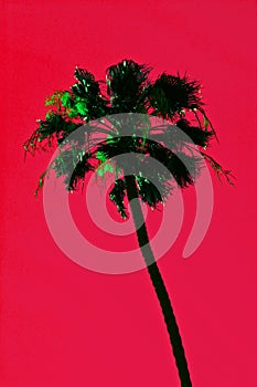 Abstract palm tree