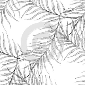 Abstract palm tree branches tropical seamless