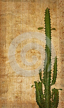 Abstract paper with cactus