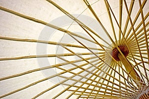 Abstract Paper umbrella and umbrella bamboo frame