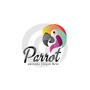 Abstract parrot logo design, colorful bird logo,modern, vector, icon