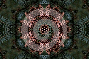 Abstract pattern background made of pine cones and green branches