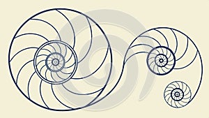 Abstract pattern based on a spiral or Nautilus shell structure vector design Generative AI