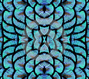 Abstract pattern of blue feathers