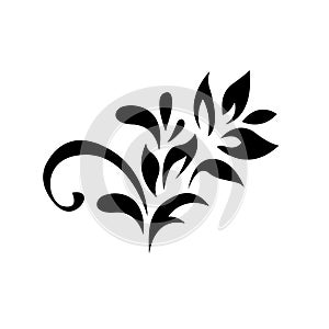 Abstract pattern, decorative element, clip art with stylized leaves, flowers and curls in black lines. Vintage ornate