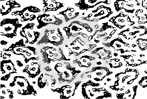 Abstract pattern design texture of the skin of the leopard. Jaguar, leopard, cheetah, Panther. Black-and-white camouflage