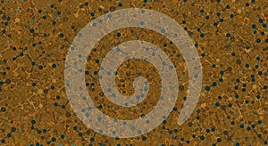 An abstract pattern featuring a complex network of interconnected, multicolored