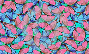 Abstract pattern of pink and blue butterflies. Pink and blue natural textural background. Wings of a butterfly Morpho. Flight of b