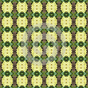 Abstract pattern and sameless background