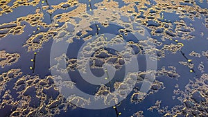 Abstract pattern of sparkling water droplets on a dark blue surface reflecting warm golden light
