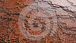 Abstract pattern of thermal pool in the geyser basins