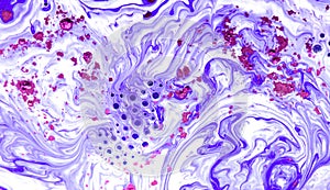 Abstract pattern, Traditional Ebru art. Color ink paint with waves. Floral background.