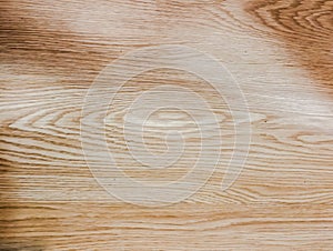 abstract pattern from wood that has been cut crosswise photo