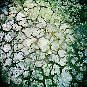 Abstract patterns of cracked earth