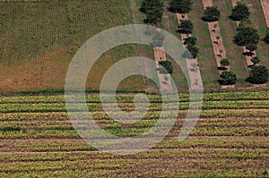 Abstract Patterns made by Agriculture, Domme, Dordogne