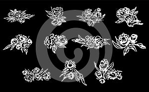 Abstract peonies and roses isolated on black background. Hand drawn floral collection. 11 floral graphic elements. Big vector set