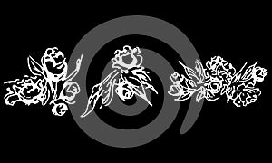 Abstract peonies and roses isolated on black background. Hand drawn floral collection. 3 floral graphic elements. Big vector set.