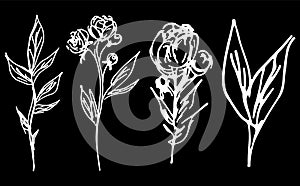 Abstract peonies and roses isolated on black background. Hand drawn floral collection. 4 floral graphic elements. Big vector set.