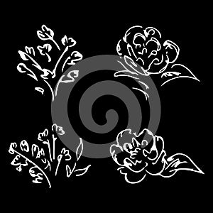 Abstract peonies and roses isolated on black background. Hand drawn floral collection. 4 floral graphic elements. Big vector set.