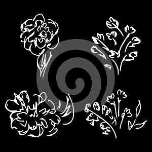 Abstract peonies and roses isolated on black background. Hand drawn floral collection. 4 floral graphic elements. Big vector set.