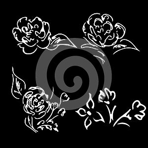 Abstract peonies and roses isolated on black background. Hand drawn floral collection. 4 floral graphic elements. Big vector set.