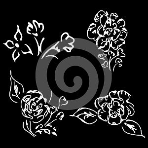 Abstract peonies and roses isolated on black background. Hand drawn floral collection. 4 floral graphic elements. Big vector set.