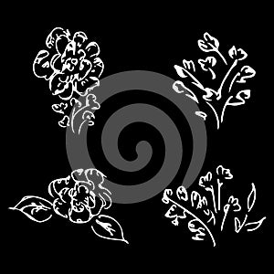 Abstract peonies and roses isolated on black background. Hand drawn floral collection. 4 floral graphic elements. Big vector set.