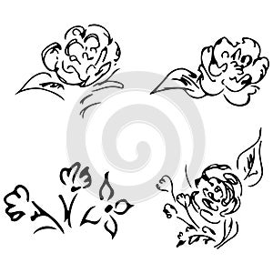 Abstract peonies and roses isolated on white background. Hand drawn floral collection. 4 floral graphic elements. Big vector set.