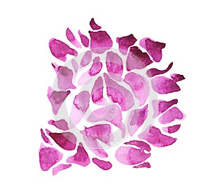 Abstract petal bougainvillea watercolor
