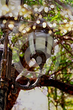 Abstract photo of antique street lantern among tree branches. vintage filtered image with glitter lights