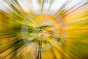 Abstract photo. Autumn forest on a bright sunny day. Colorful textured background. long shutter speed