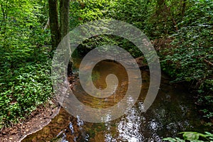 Abstract photo of a forest landscape with a flowing stream. Forest stream, river bed.