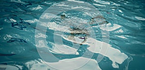 Abstract photo lifestyle, nature background. Unrecognizable person body deep under water, look at surface. Mystery mood