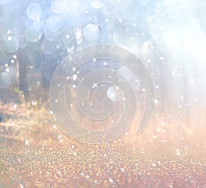 Abstract photo of light burst among trees and glitter bokeh lights. image is blurred and filtered