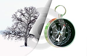 Abstract photo with lonely tree on background of winter landscape and with tourist classic compass