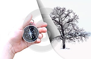 Abstract photo with lonely tree on background of winter landscape and with tourist classic compass