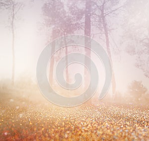 Abstract photo of misty light burst among trees and glitter bokeh lights. image is blurred