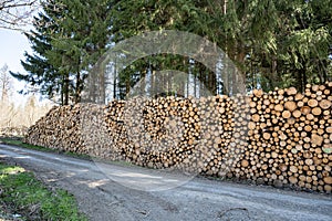 Abstract photo pile natural wood background dry chopped firewood logs ready for winter