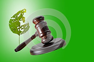 Abstract photo with wooden gavel and damaged green leaf isolated on green background as symbol of damage to nature and ecology due